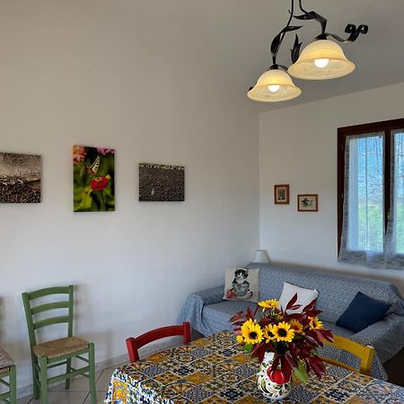 Agriturismo I Debbi Bibbona Zewnętrze zdjęcie