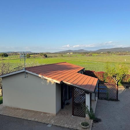 Agriturismo I Debbi Bibbona Zewnętrze zdjęcie