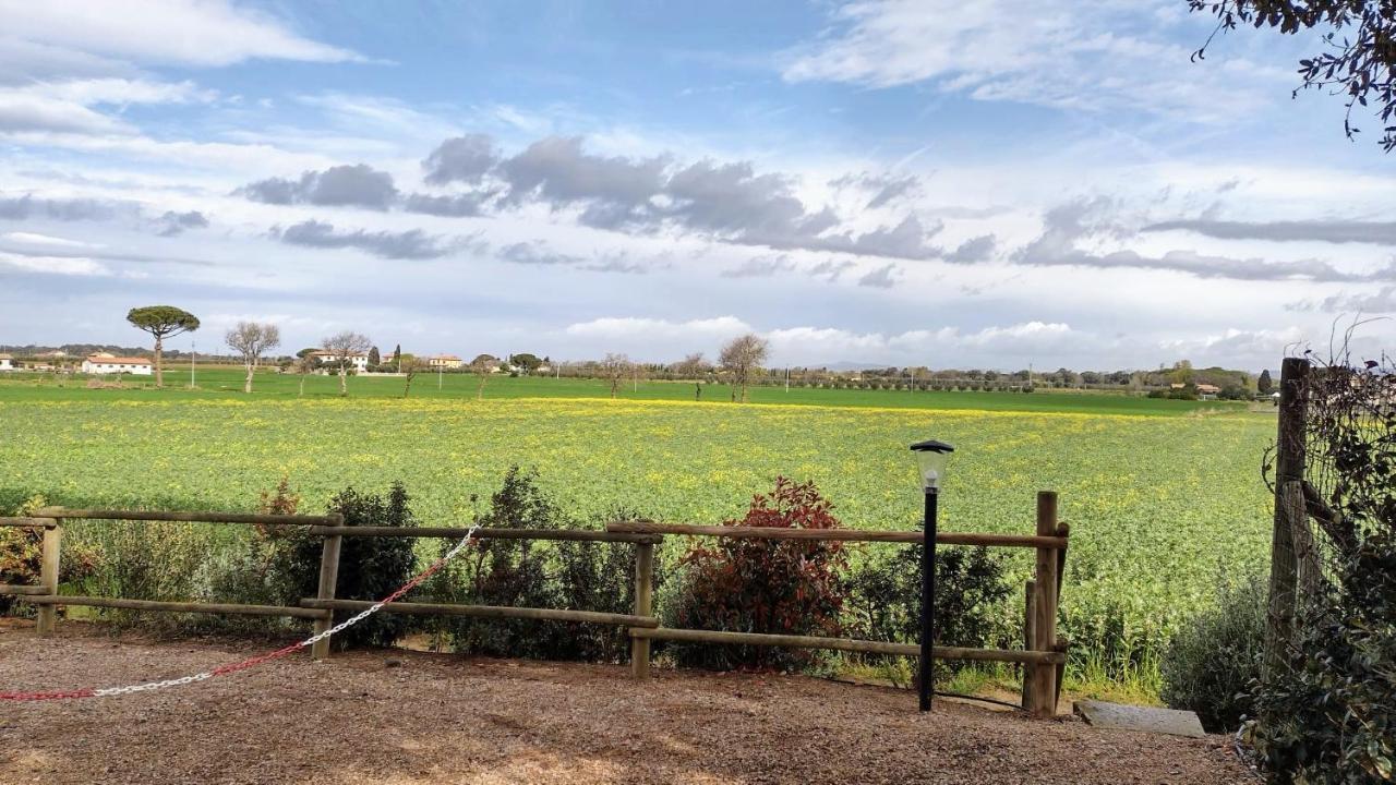 Agriturismo I Debbi Bibbona Zewnętrze zdjęcie