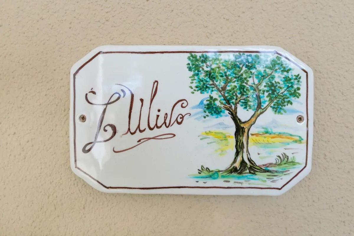 Willa Agriturismo I Debbi Bibbona Zewnętrze zdjęcie