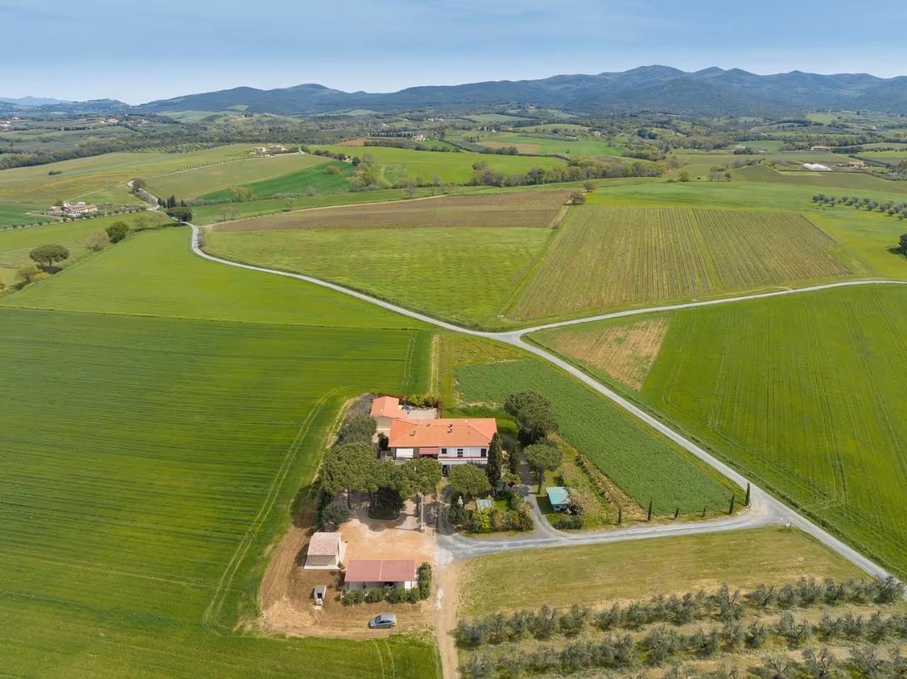 Agriturismo I Debbi Bibbona Zewnętrze zdjęcie