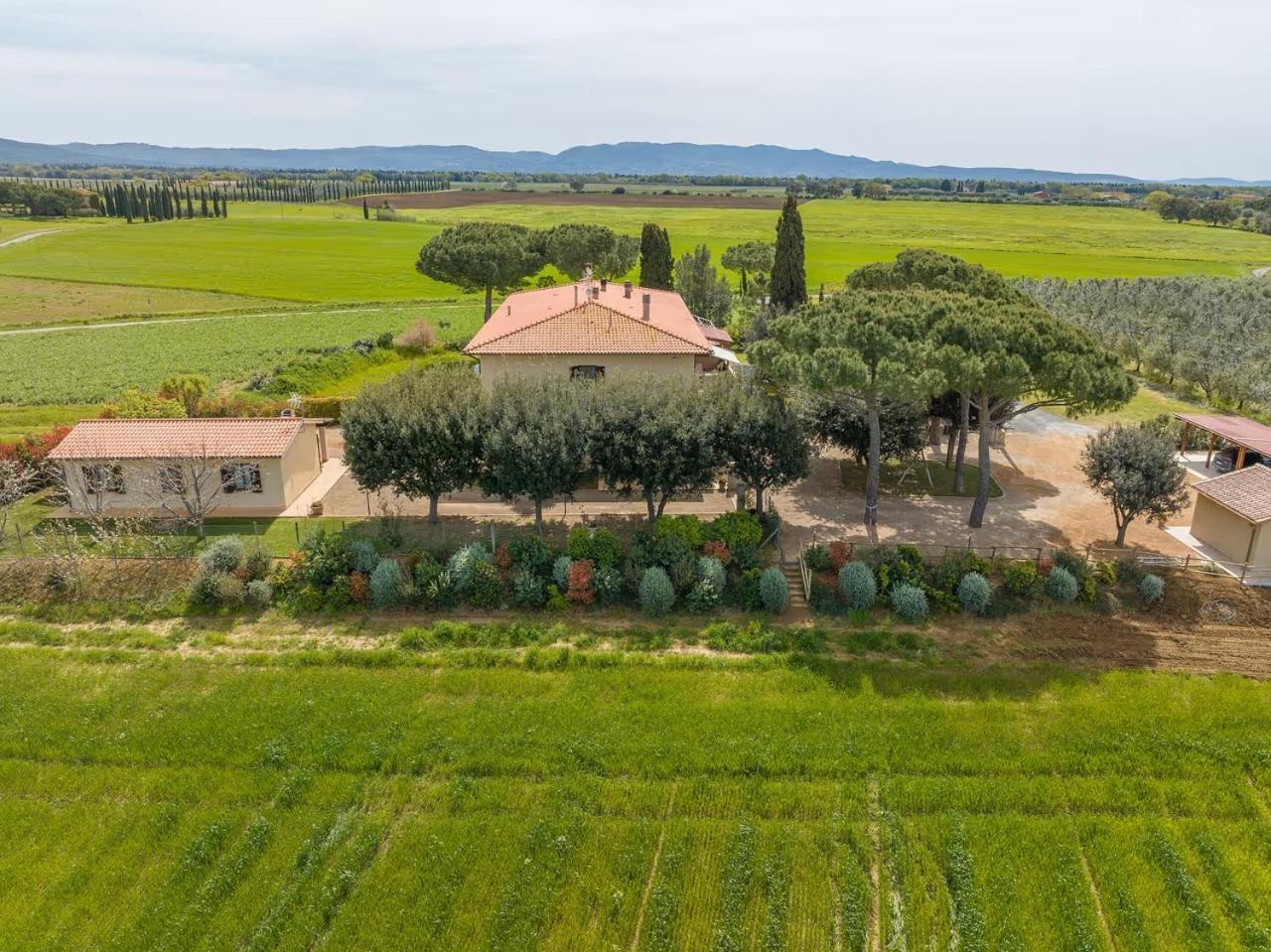Agriturismo I Debbi Bibbona Zewnętrze zdjęcie