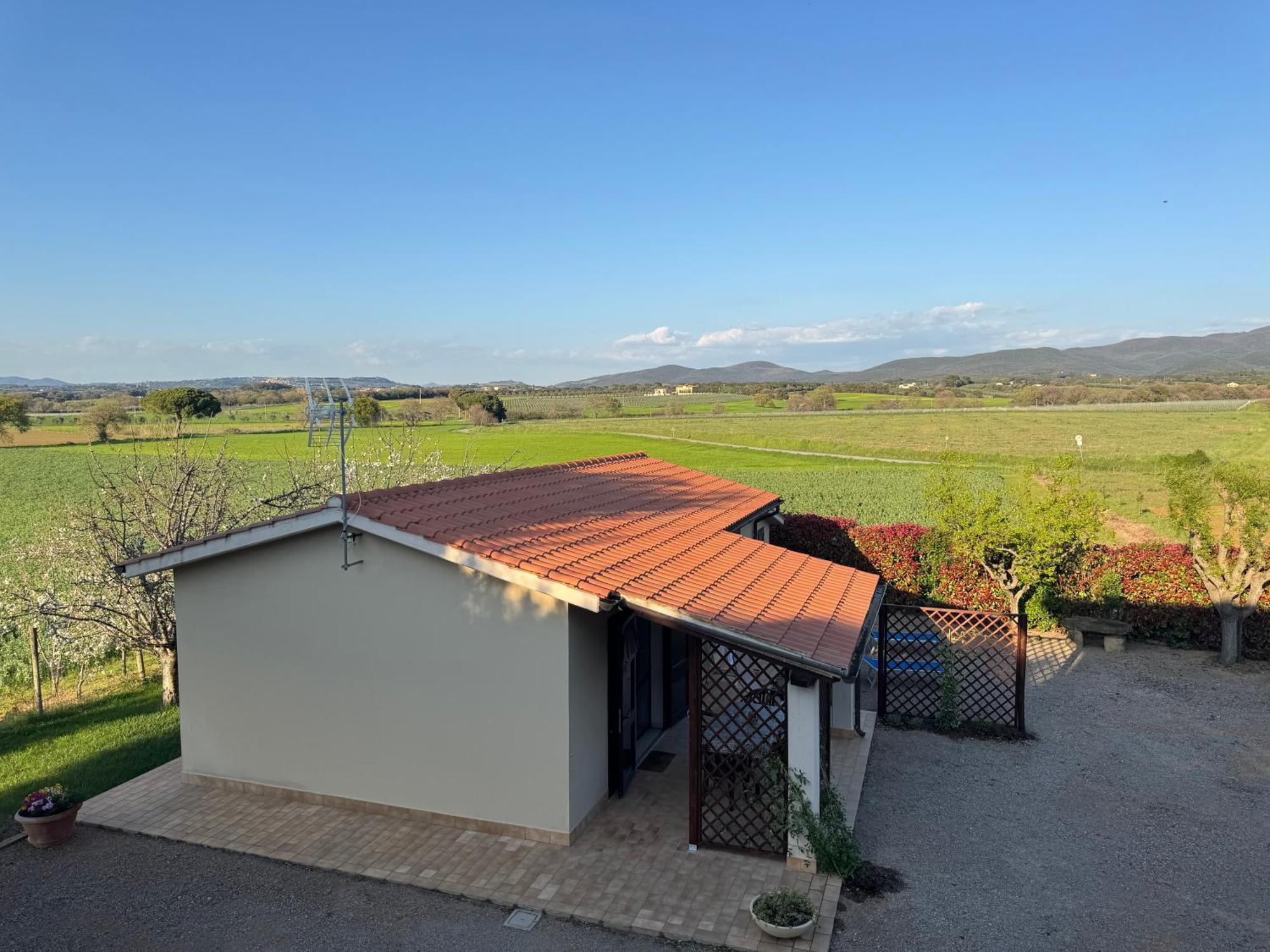 Agriturismo I Debbi Bibbona Zewnętrze zdjęcie