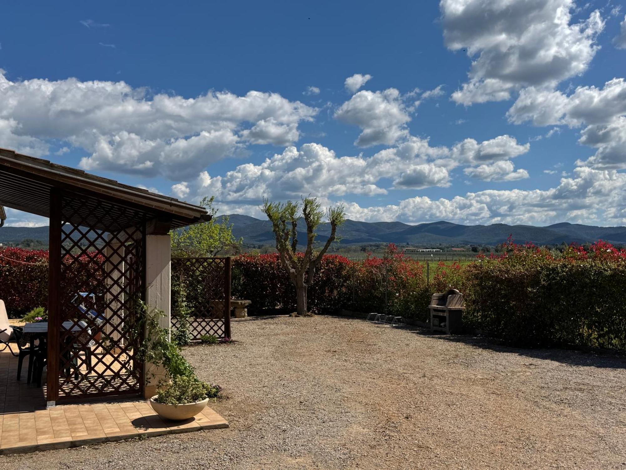 Agriturismo I Debbi Bibbona Zewnętrze zdjęcie